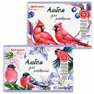 Альбом для рисования 40л./гребень 